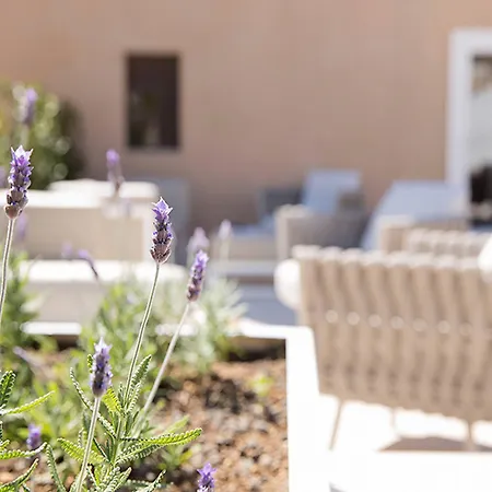فندق Convent De La Missio - Grand Luxury Boutique Hotel, Adults Only ميورقة